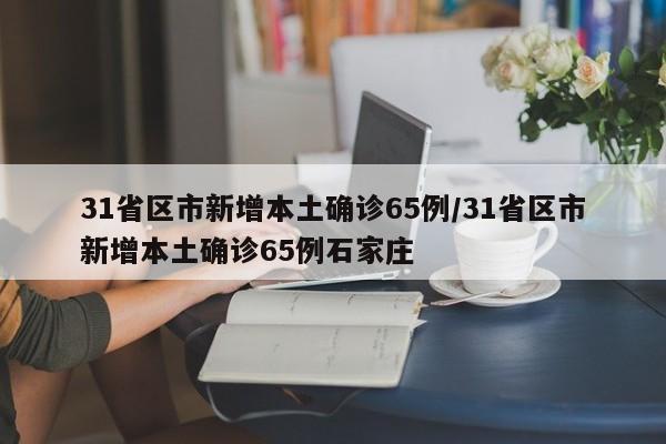 31省区市新增本土确诊65例/31省区市新增本土确诊65例石家庄